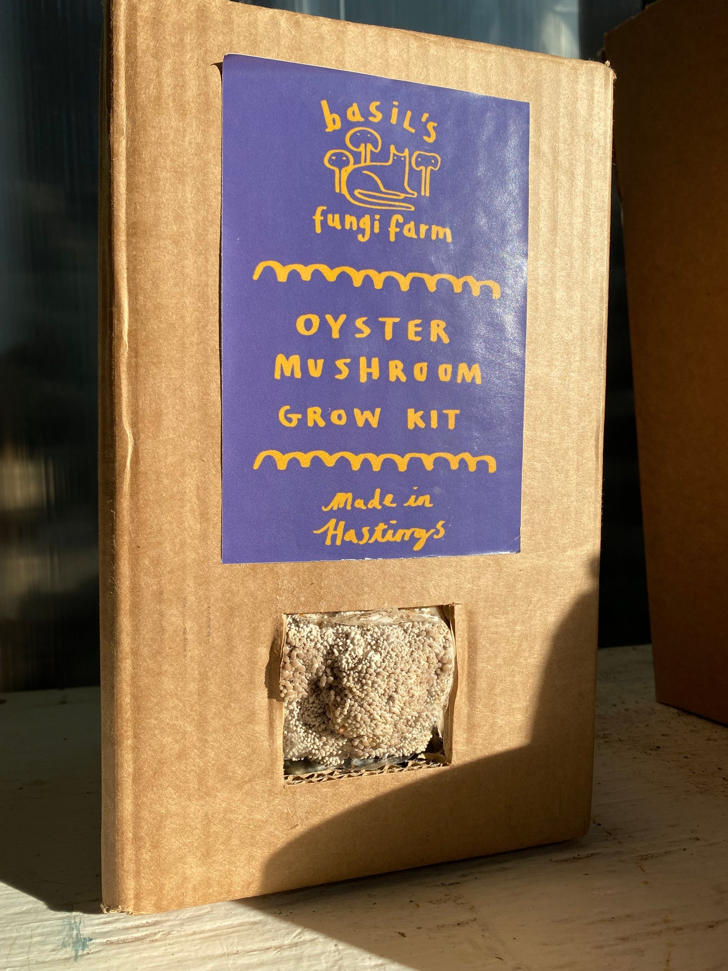 White Oyster mushroom Grow Kit