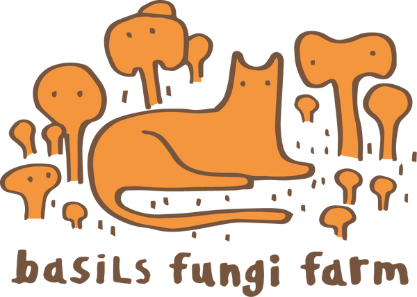 Basil's fungi farm